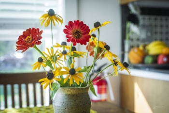 Frush Farm Bed & Breakfast,Elm>>East Earl,3 star