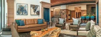 Canopy By Hilton Dallas Uptown,Corpus Christi>>Carrollton,4 star