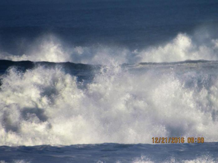 waldport