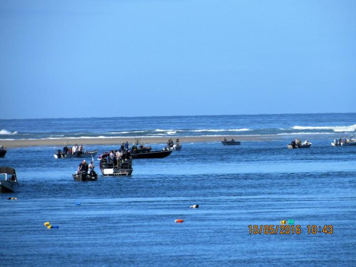waldport