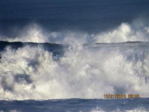 waldport