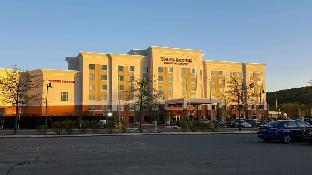 tioga downs casino and resort