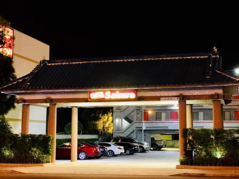 motel sakura adults only