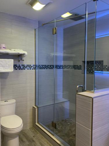 motel sakura adults only