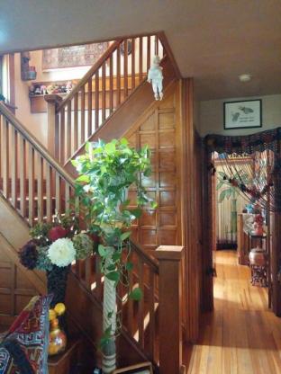 oasis bed and breakfast