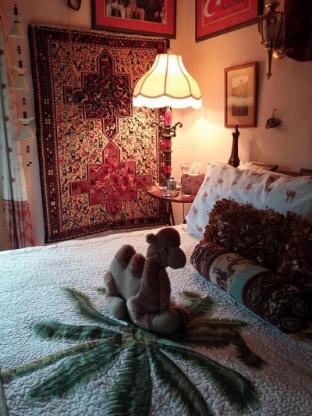 oasis bed and breakfast