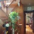 oasis bed and breakfast
