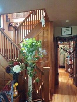 oasis bed and breakfast