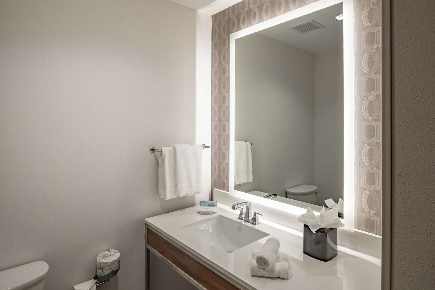 hilton garden inn dallas at hurst conference center