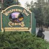 whispering pine cabins