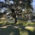 st francisville