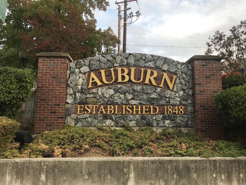 auburn