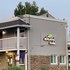 elmwood motel