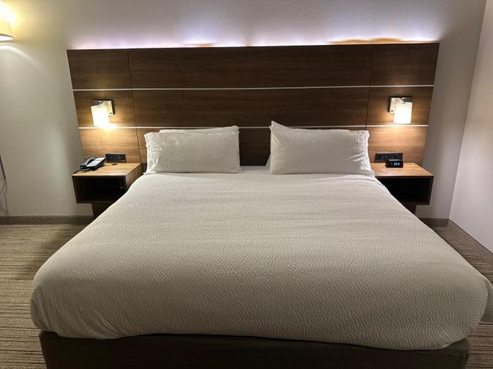 holiday inn express and suites macon north