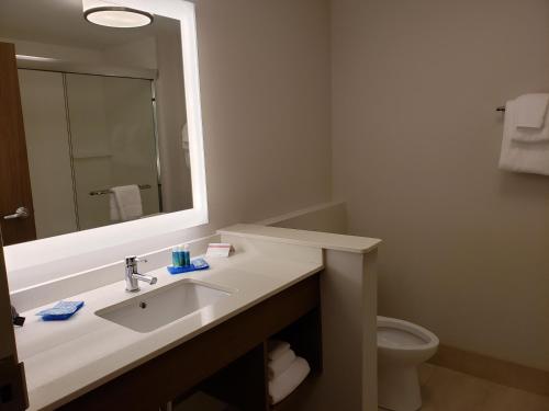 holiday inn express and suites macon north