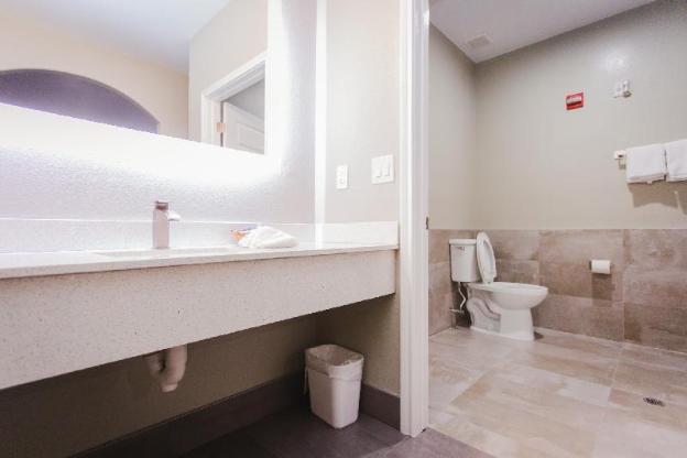 palace inn beltway 8 and westview