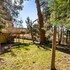 big bear lake