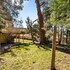 big bear lake