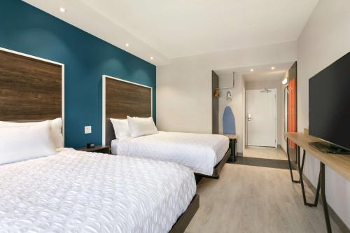 tru by hilton charlotte ayrsley