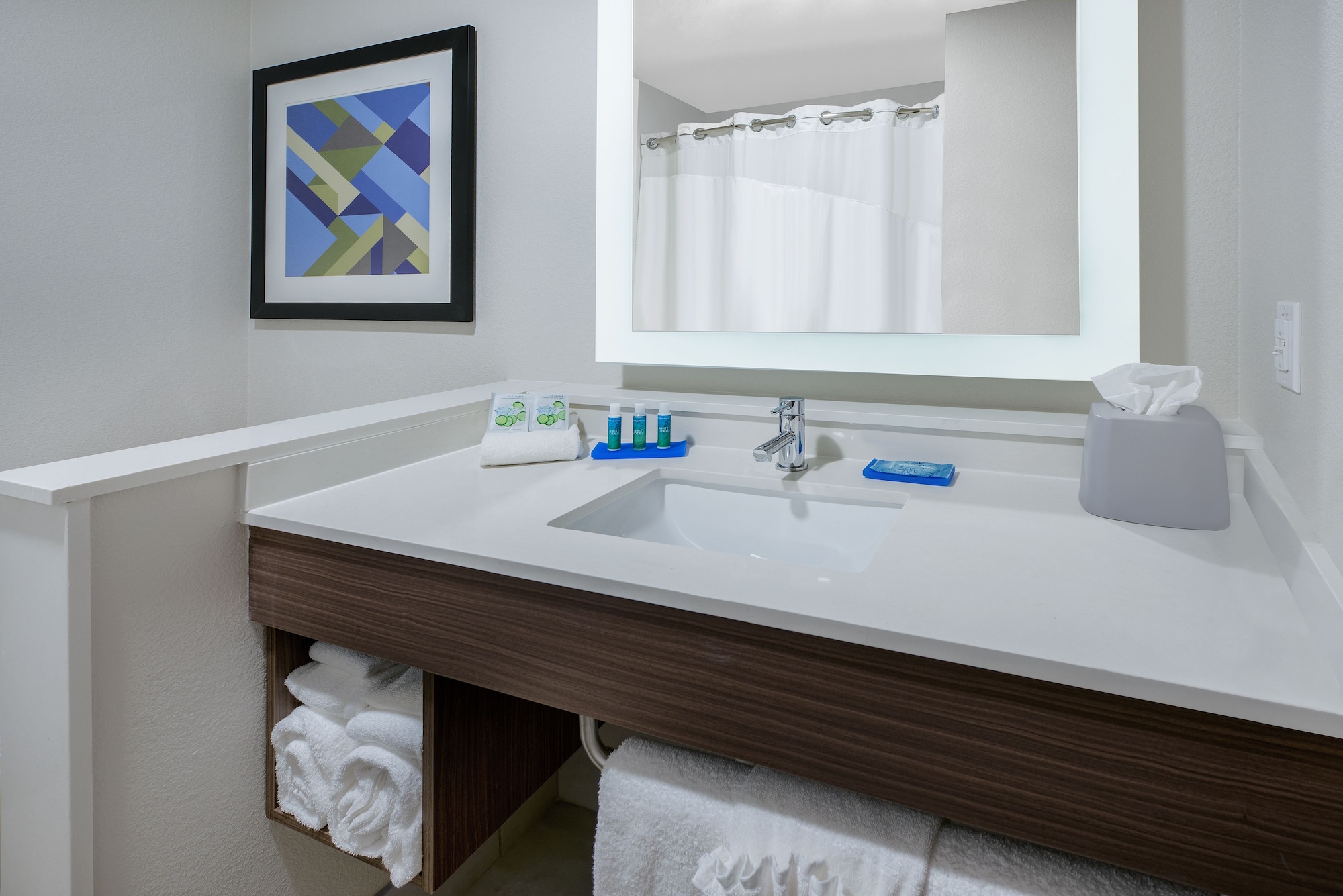 holiday inn express and suites bryan