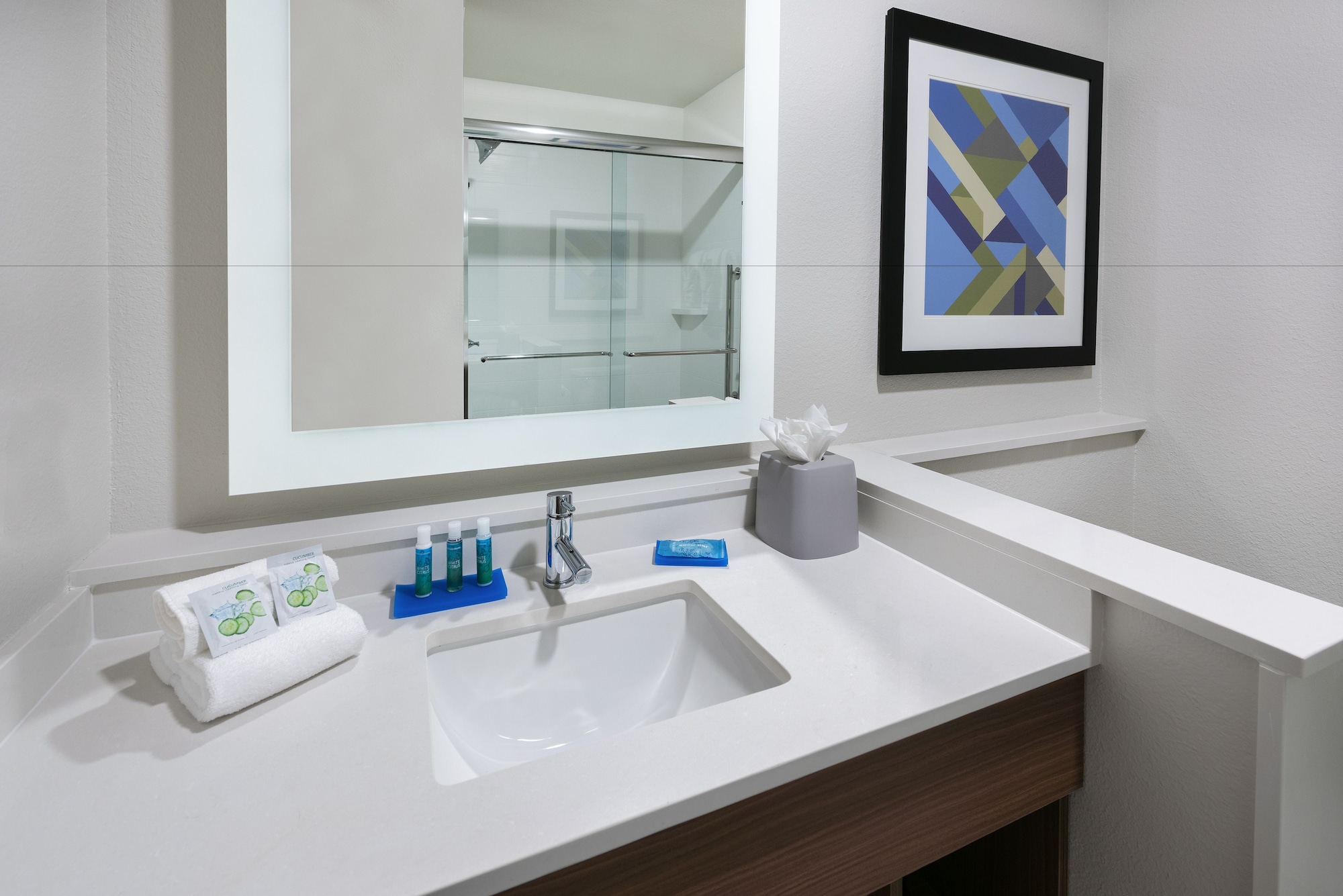 holiday inn express and suites bryan