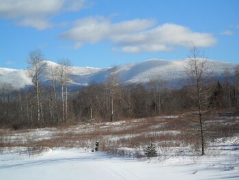 bretton woods