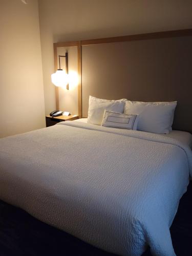 Fairfield Inn & Suites Athens Marriott,Athens - Sweetwater>>Athens,3 star