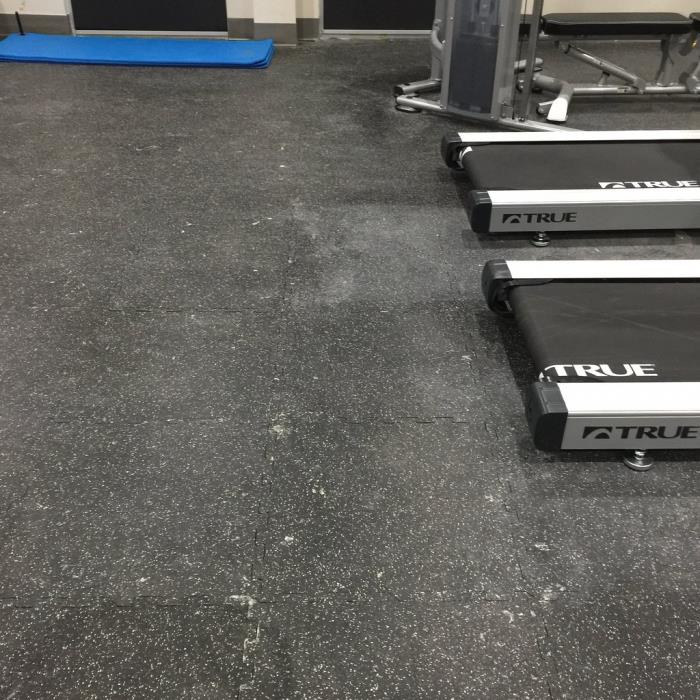 wingate by wyndham corpus christi