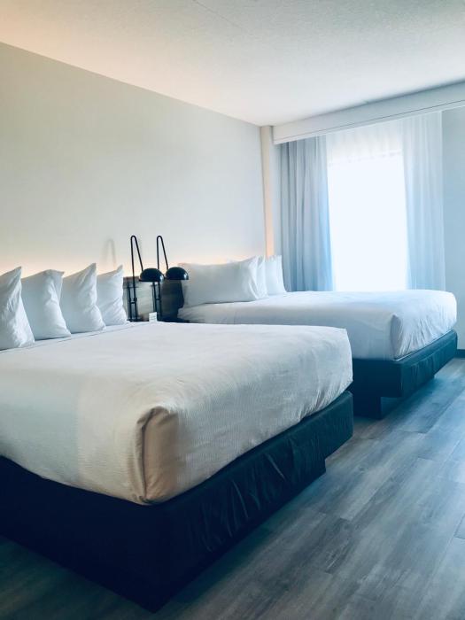 wyndham garden ft lauderdale airport and cruise port