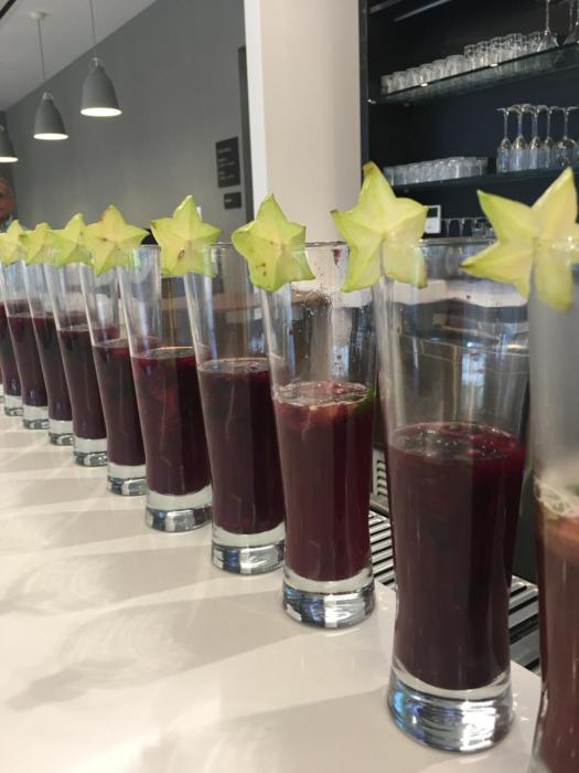 wyndham garden ft lauderdale airport and cruise port