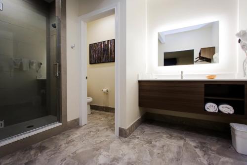 palace inn blue us 59 and gessner