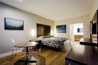 palace inn blue us 59 and gessner