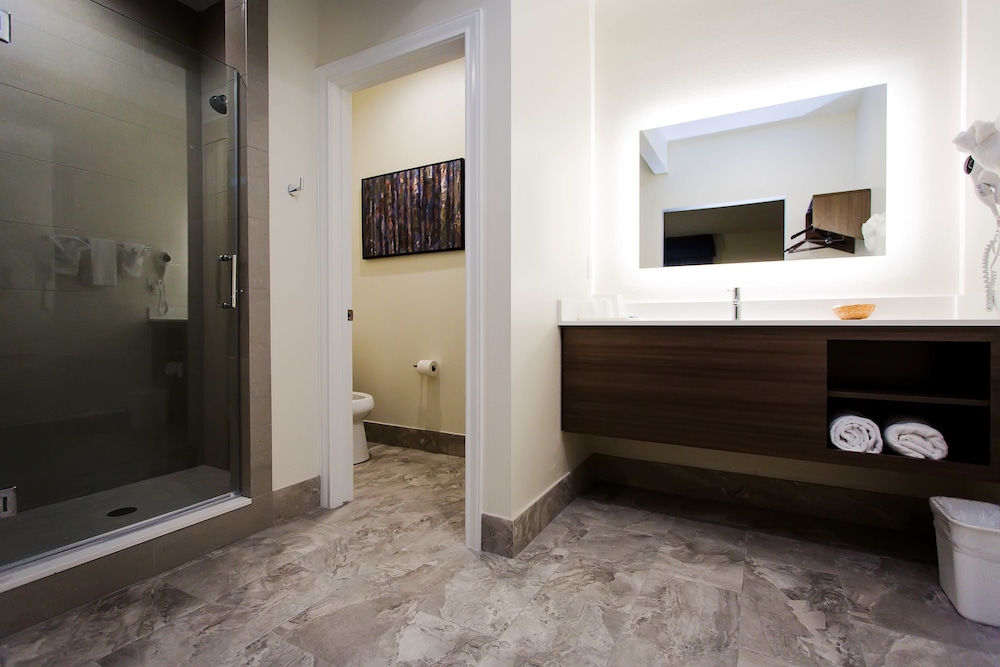 palace inn blue us 59 and gessner