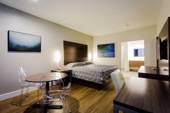 palace inn blue us 59 and gessner