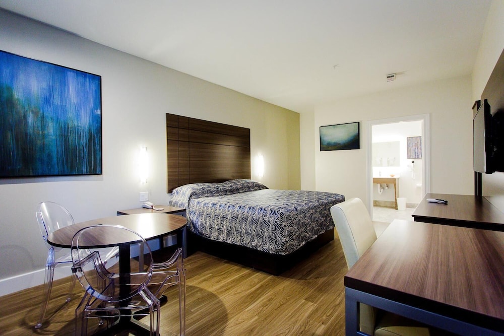 palace inn blue us 59 and gessner