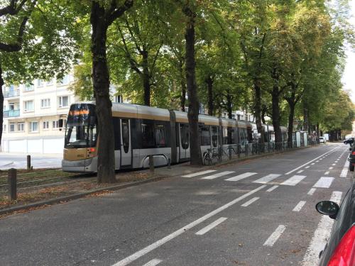 brussels