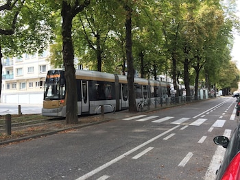 brussels