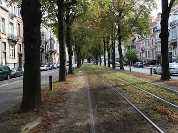 brussels