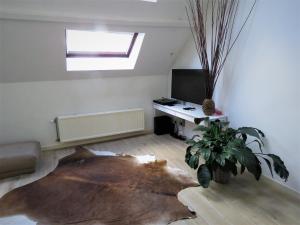 villa einstein apartments