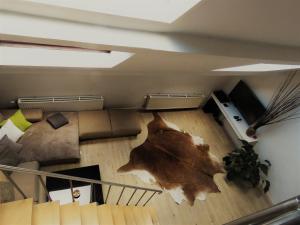 villa einstein apartments