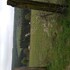 fauvillers