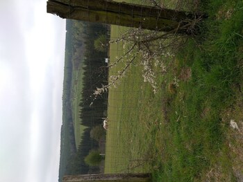 fauvillers