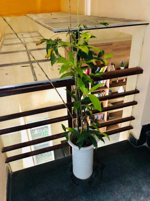 binh duong 2 hotel