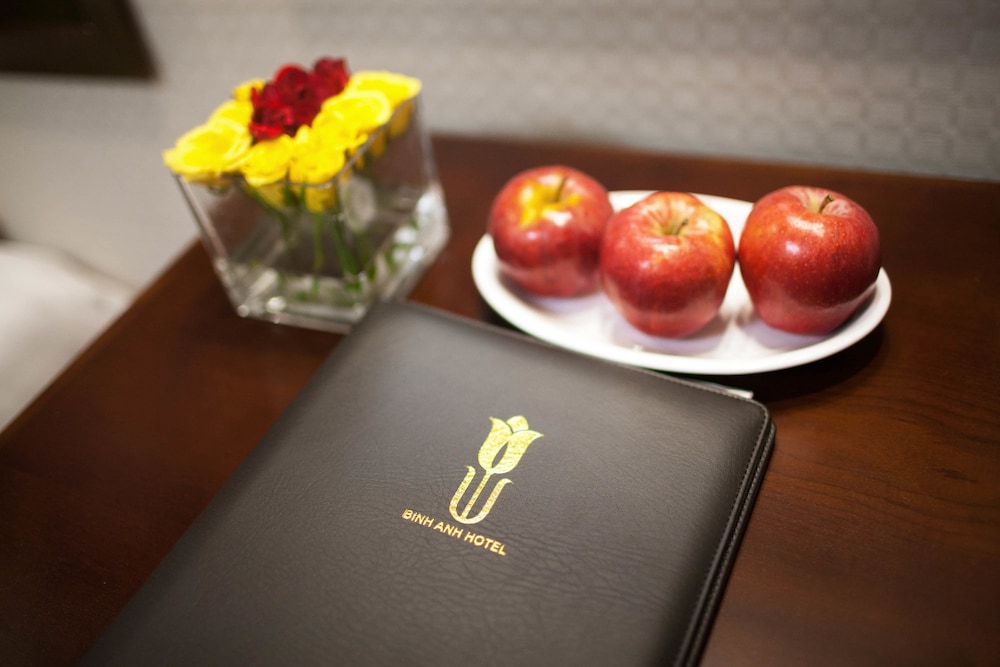 binh anh hotel