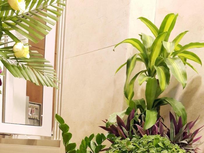 hong mai hotel
