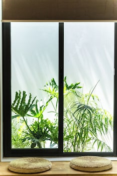 9 station hostel adults only