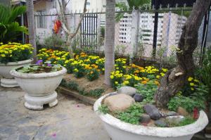 mango garden hoi an homestay