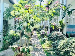 sunlight bungalow