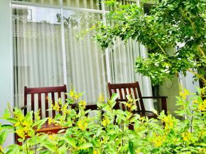 sunlight bungalow