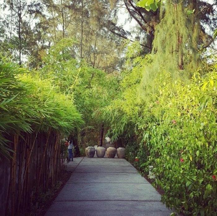 villa louise hue beach hotel